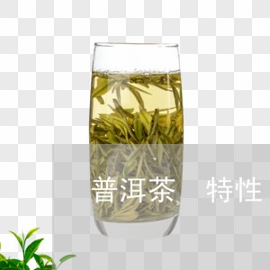 普洱茶 特性/2023042828248